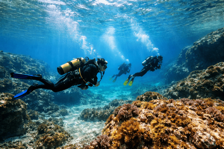 Scuba Diving in Northern Italy: The Best Spots Between Alpine Lakes and the Mediterranean Sea